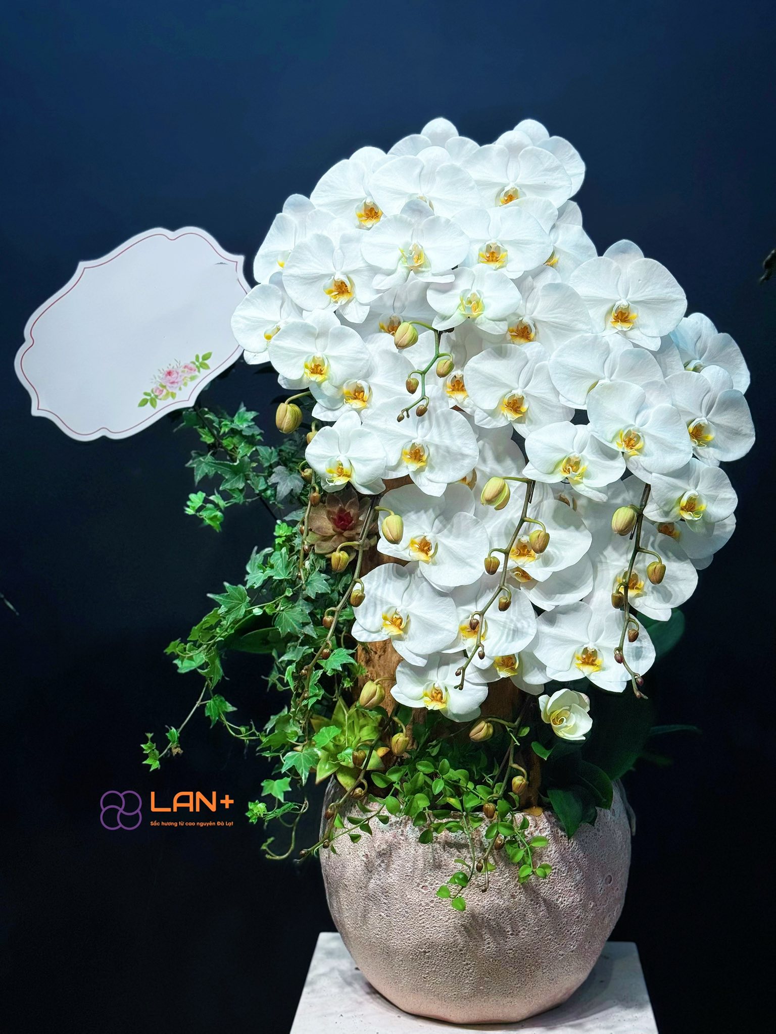 CHẬU TIỂU CẢNH 20 CÀNH MINI