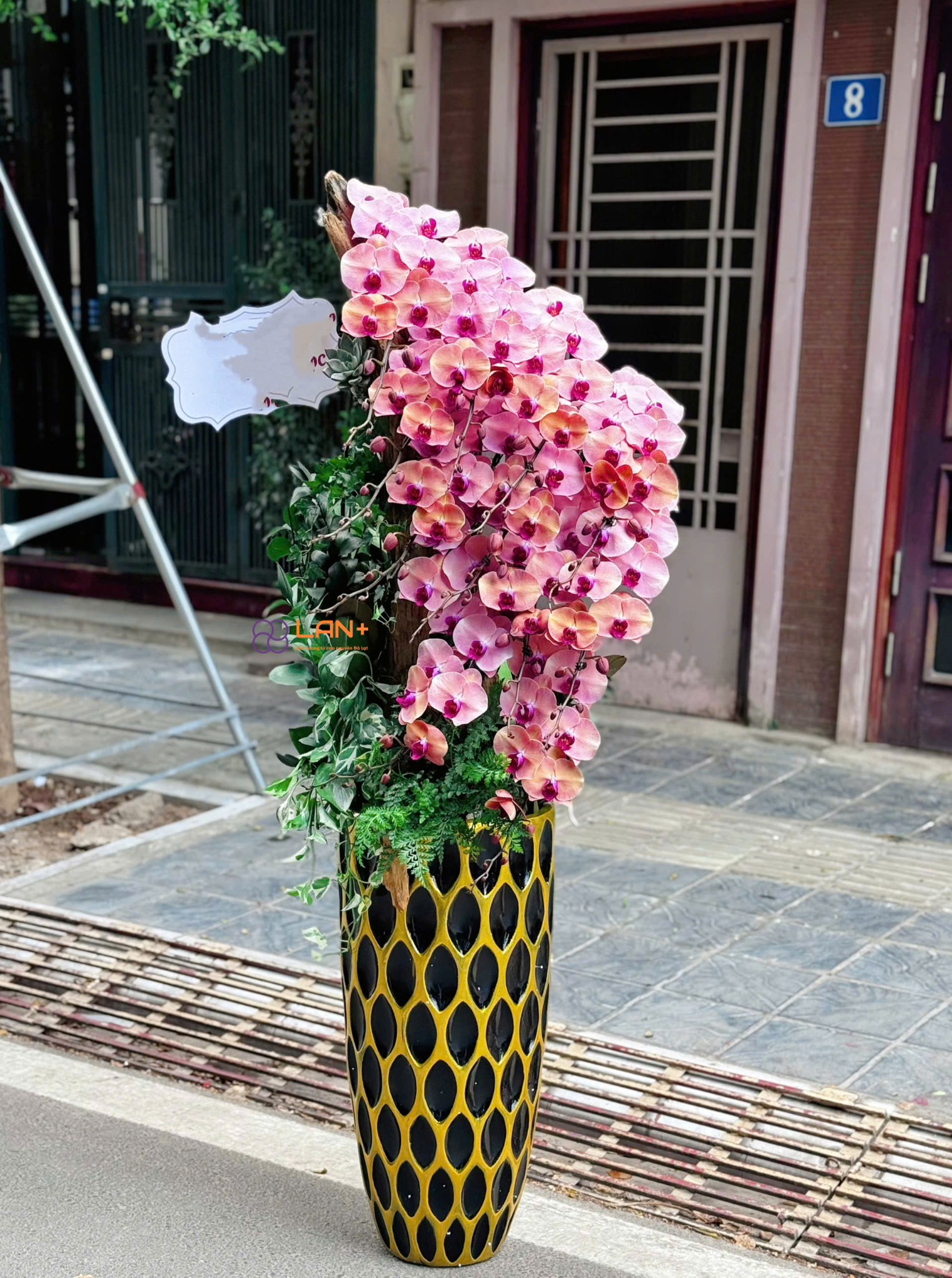 CHẬU TIỂU CẢNH SUỐI HOA 12 CÀNH