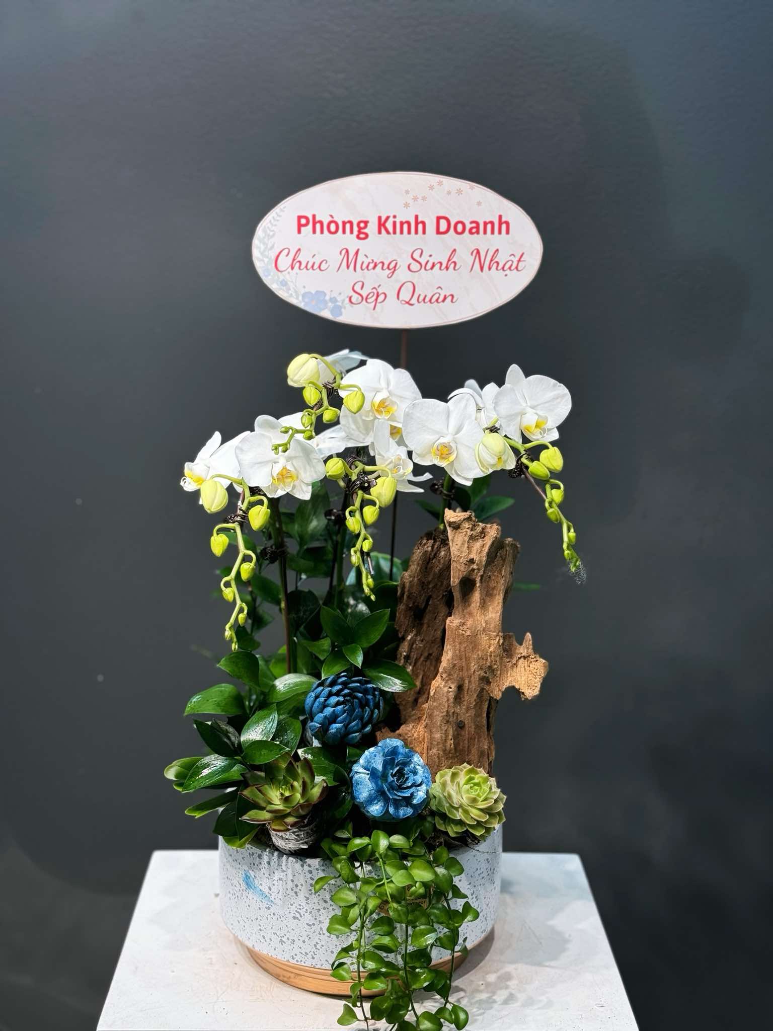 CHẬU TIỂU CẢNH 4 CÀNH TRẮNG MINI