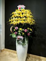 CHẬU 30 CÀNH LAN ĐẠI