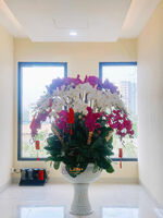 CHẬU 40 CÀNH LAN ĐẠI MIX