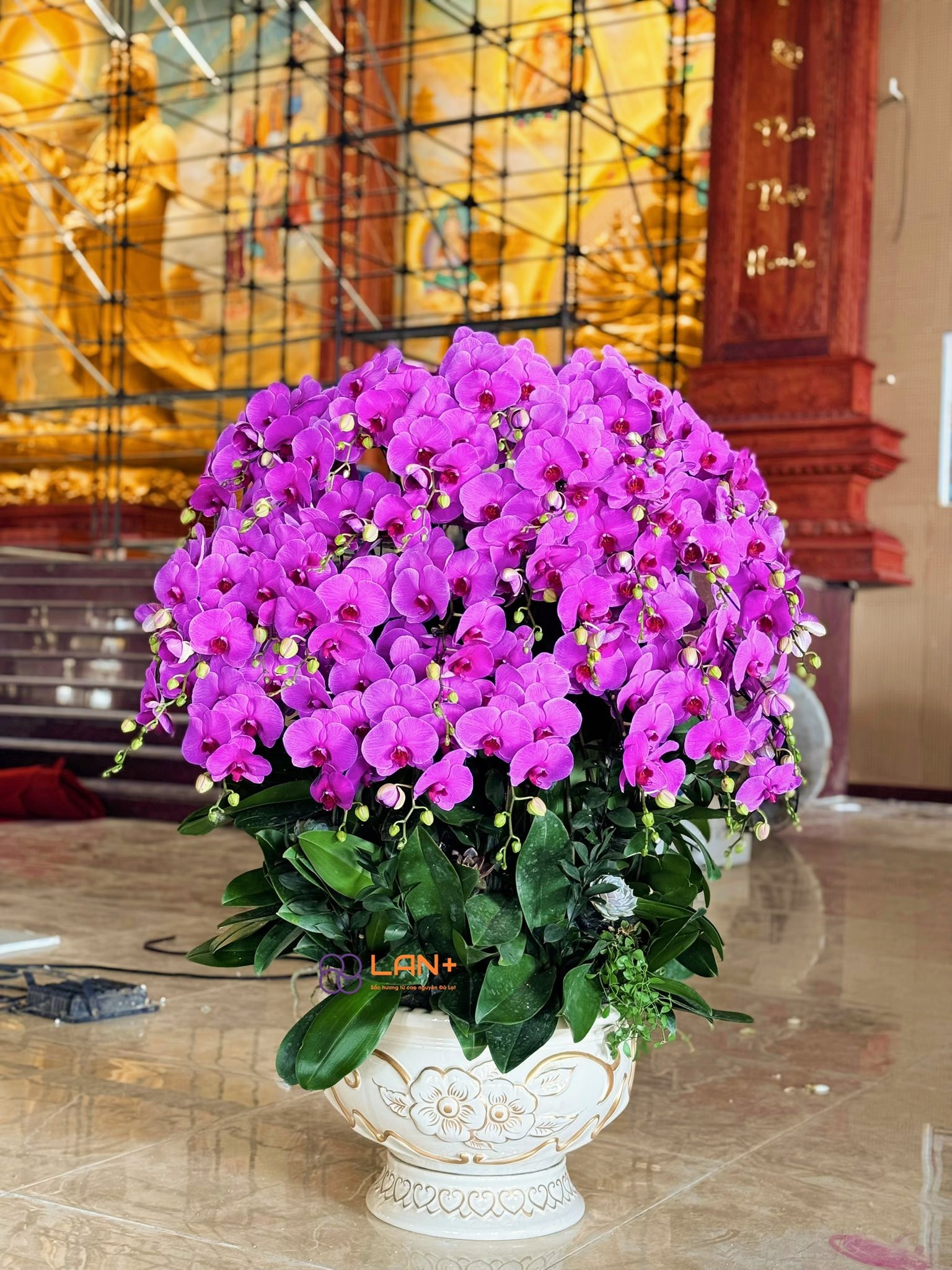 CHẬU 35 CÀNH HỒNG PHÁT TÀI