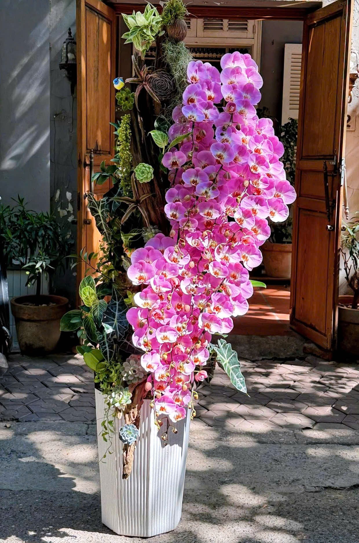 CHẬU SUỐI HOA LAN HỒNG 20 CÀNH