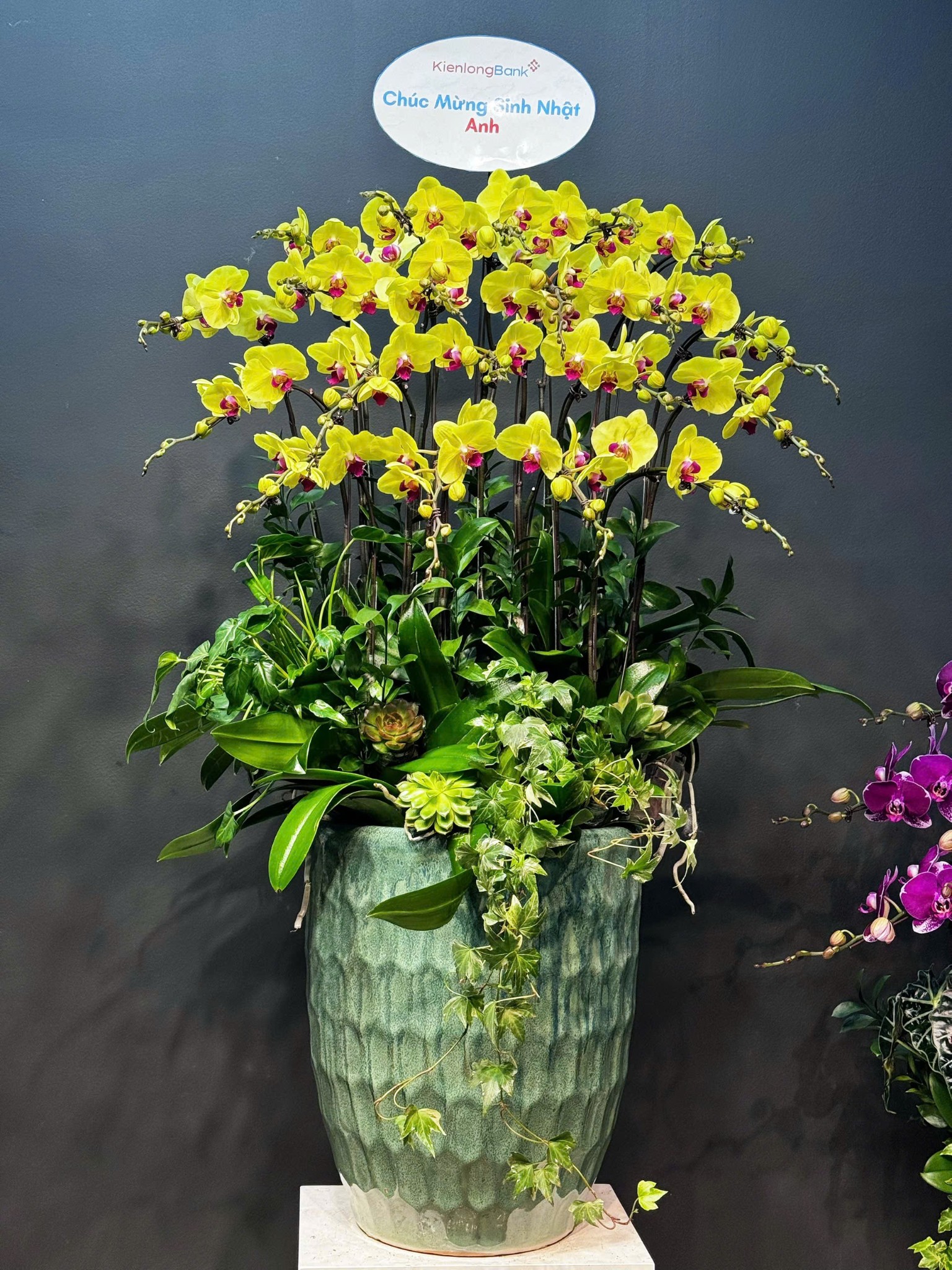 CHẬU 20 CÀNH VÀNG