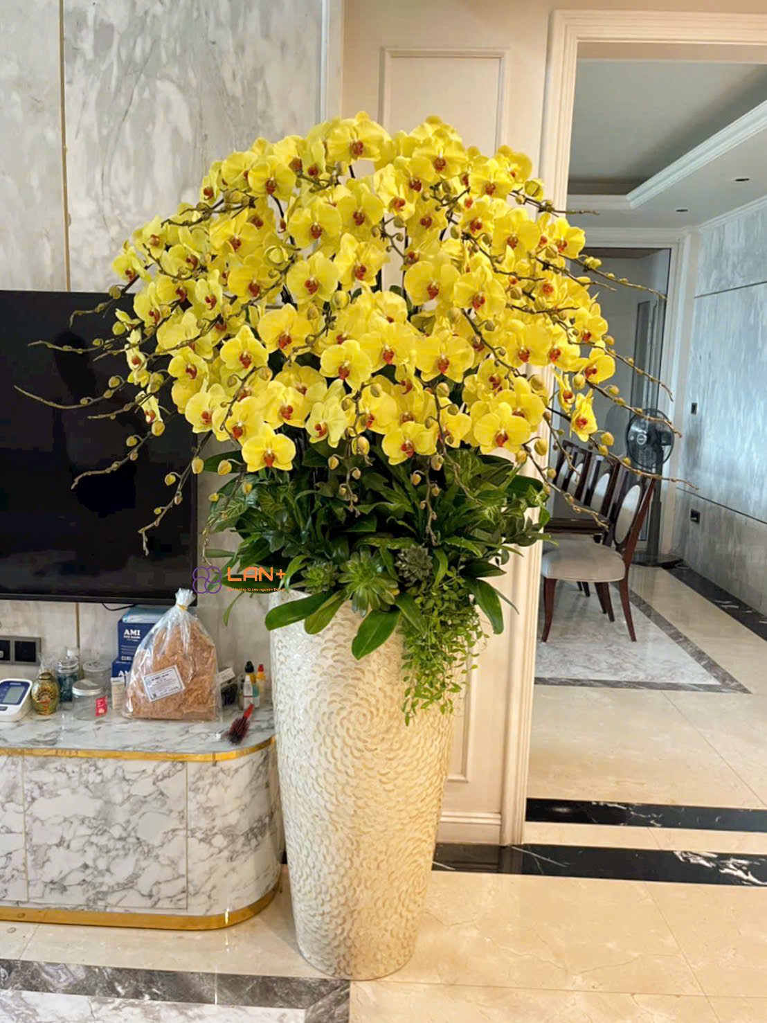 CHẬU 26 CÀNH VÀNG TRỒNG TRÊN CHẬU KHẢM TRAI