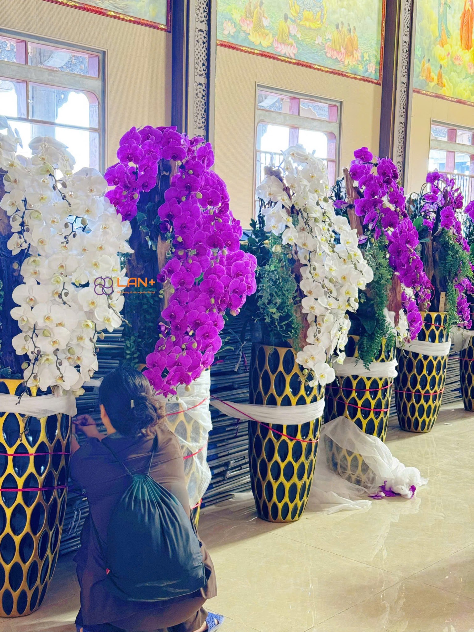 CHẬU TIỂU CẢNH SUỐI HOA 15 CÀNH