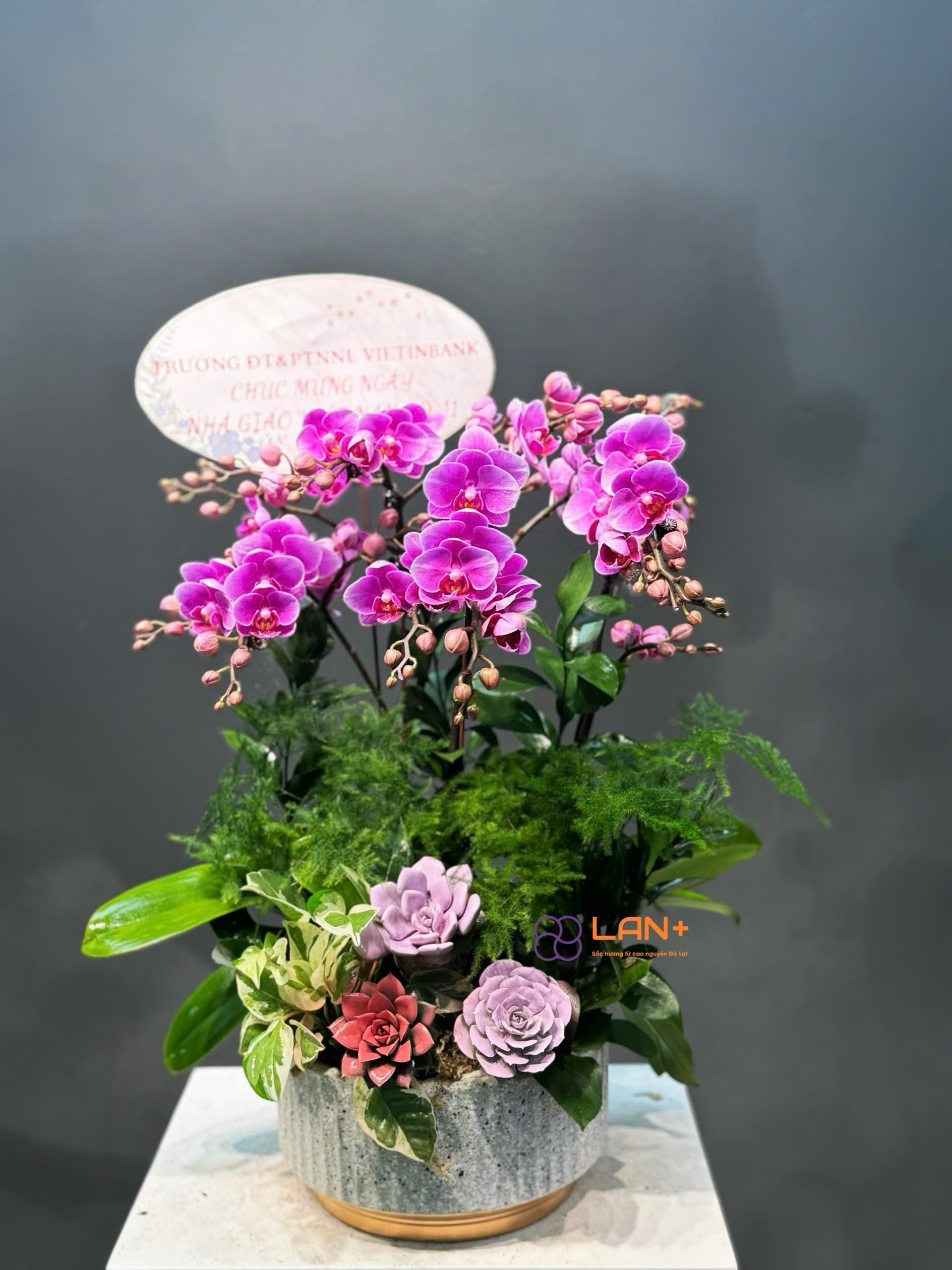 CHẬU 4 CÀNH TÍM MINI