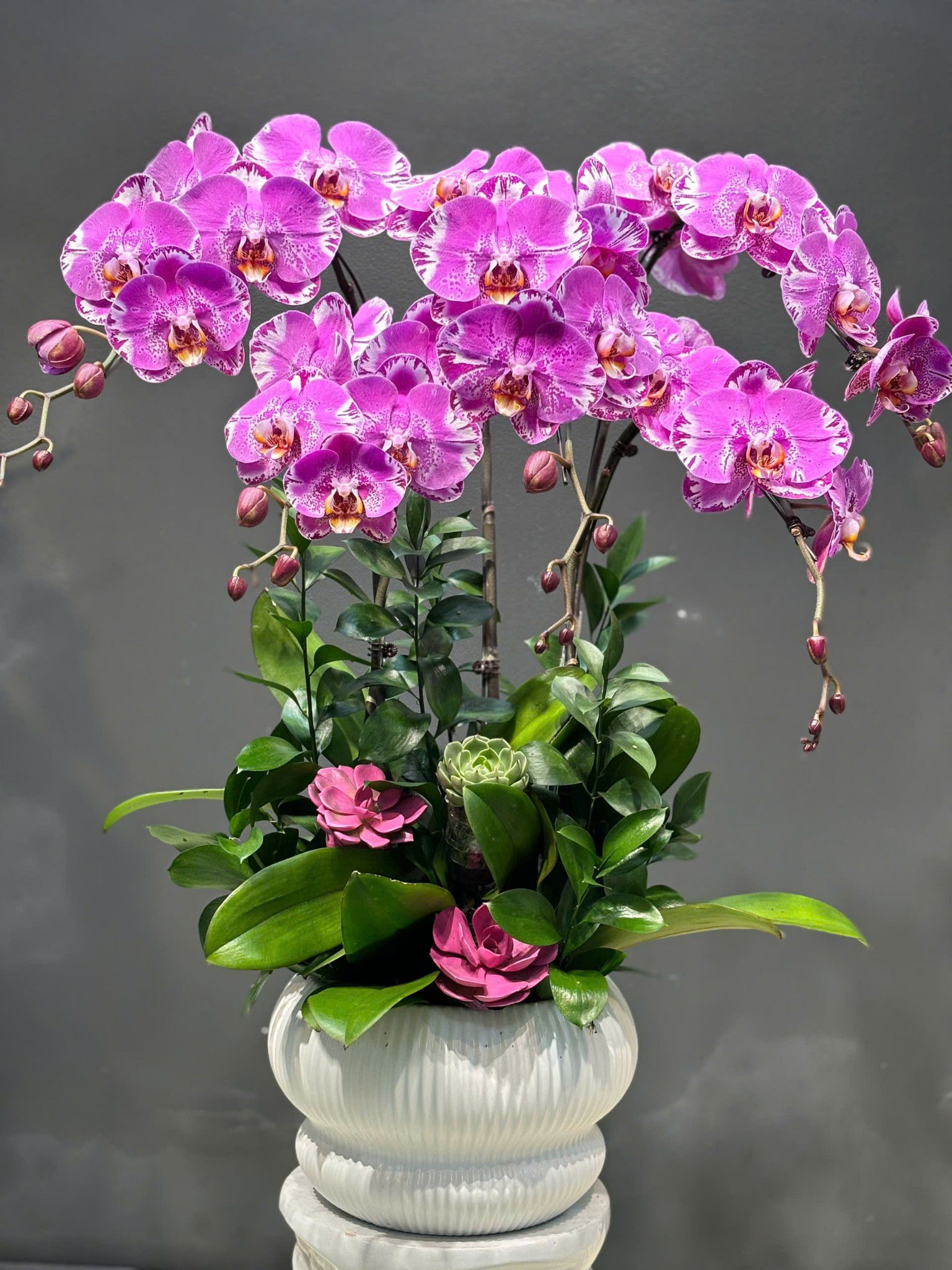 CHẬU 5 CÀNH LAN ĐẠI