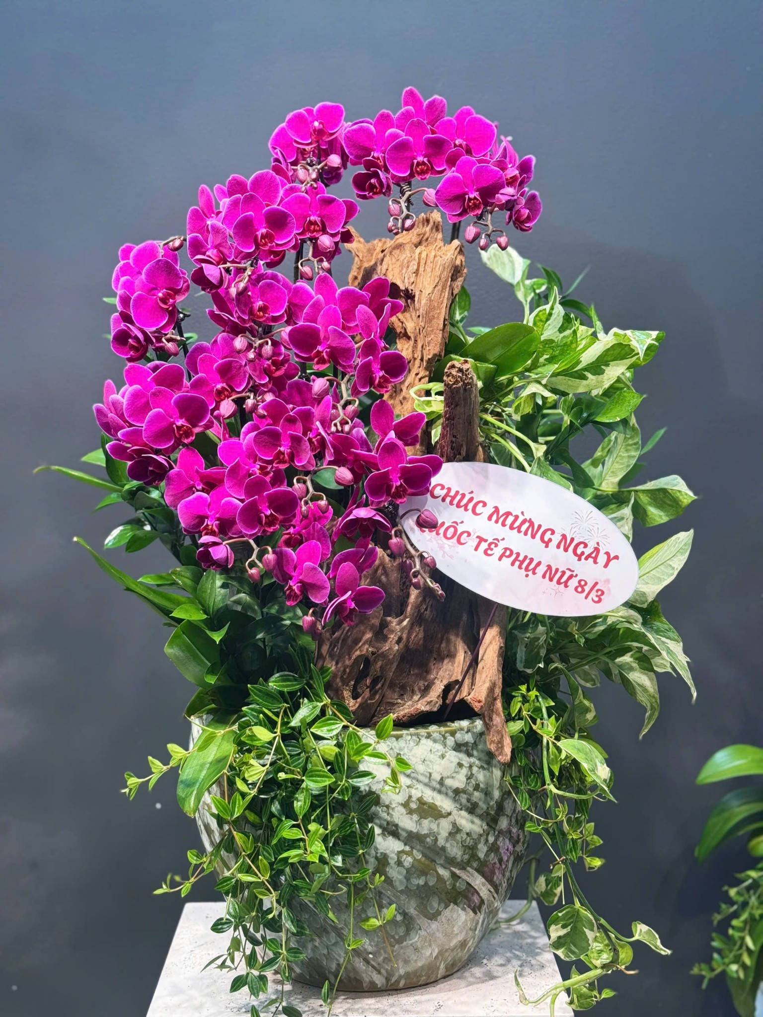 CHẬU TIỂU CẢNH 14 CÀNH MINI