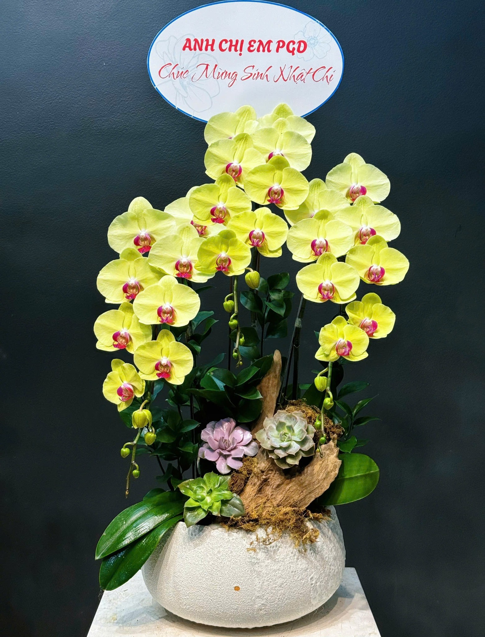 CHẬU TIỂU CẢNH 3 CÀNH