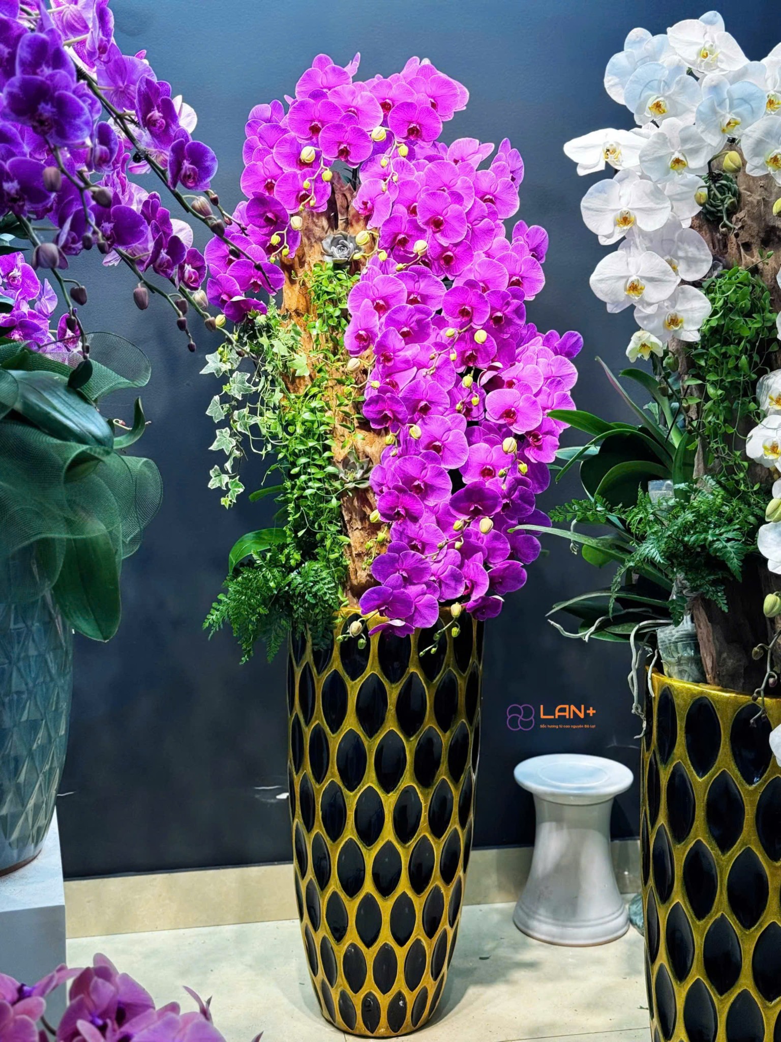 CHẬU TIỂU CẢNH SUỐI HOA 15 CÀNH