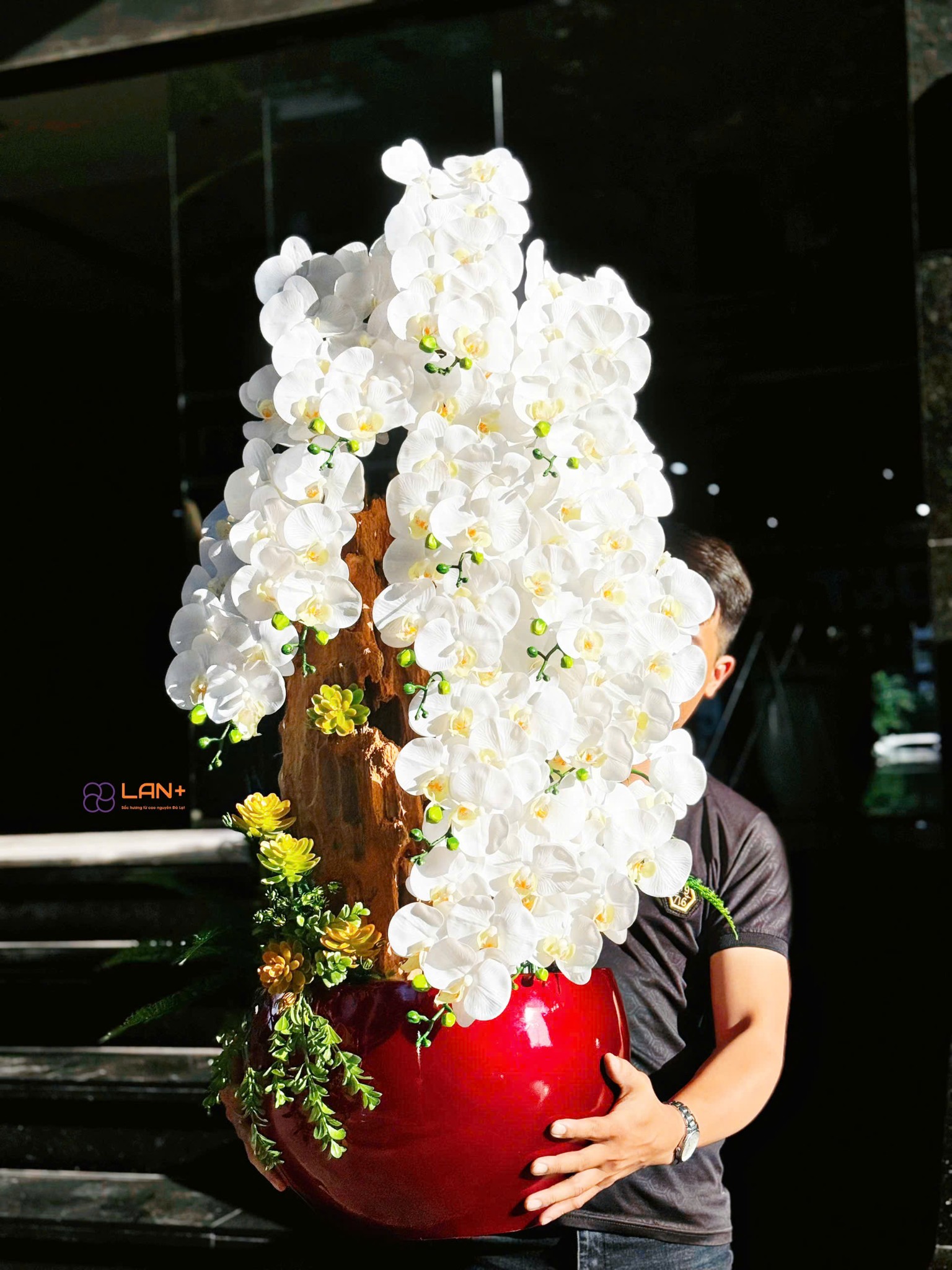 CHẬU TIỂU CẢNH 12 CÀNH LAN LỤA