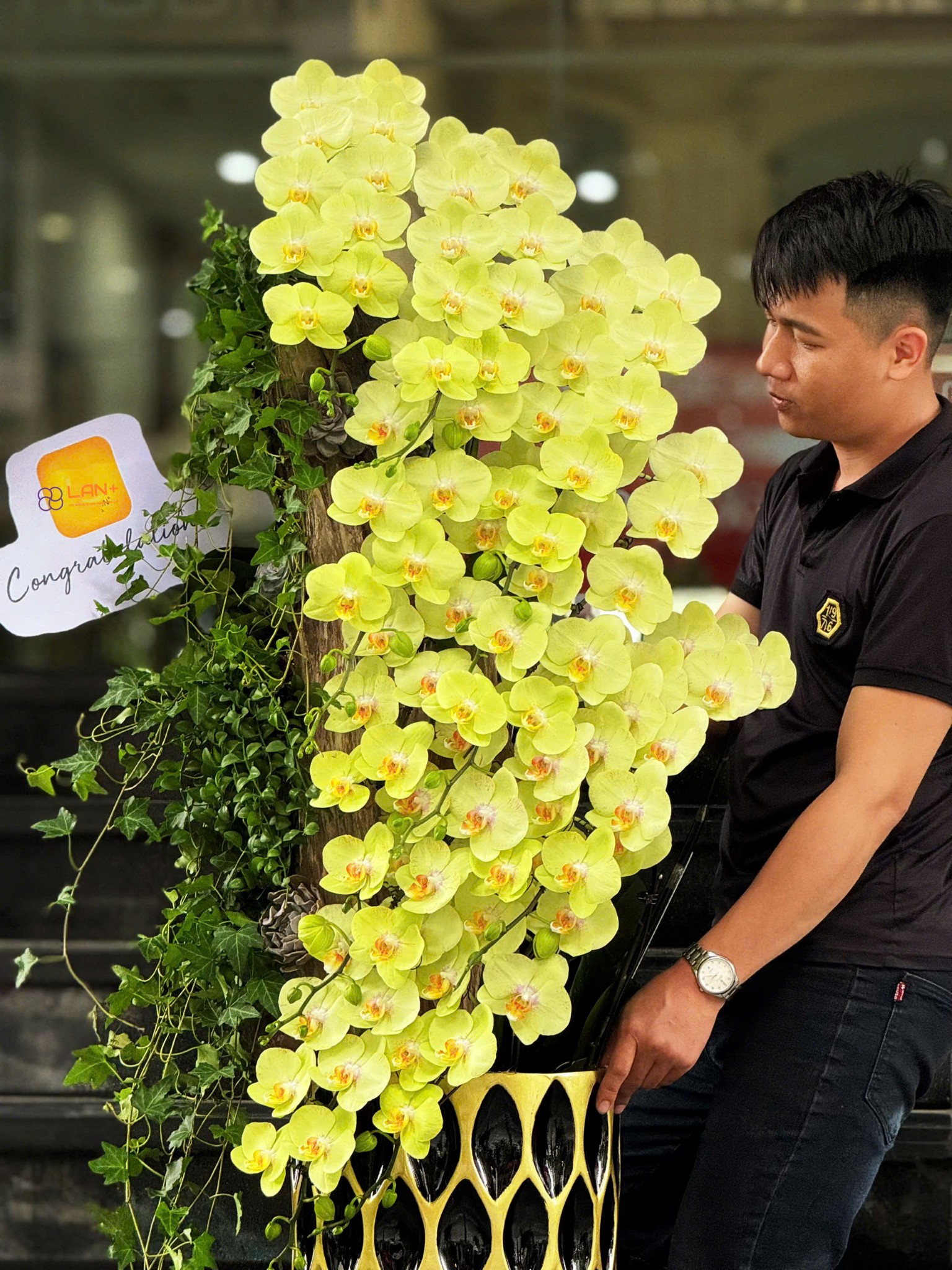 CHẬU TIỂU CẢNH 9 CÀNH TRỒNG TRÊN CHẬU COMPOSITE