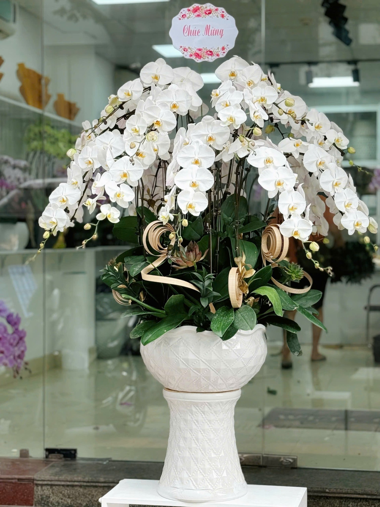 CHẬU 20 CÀNH LAN ĐẠI