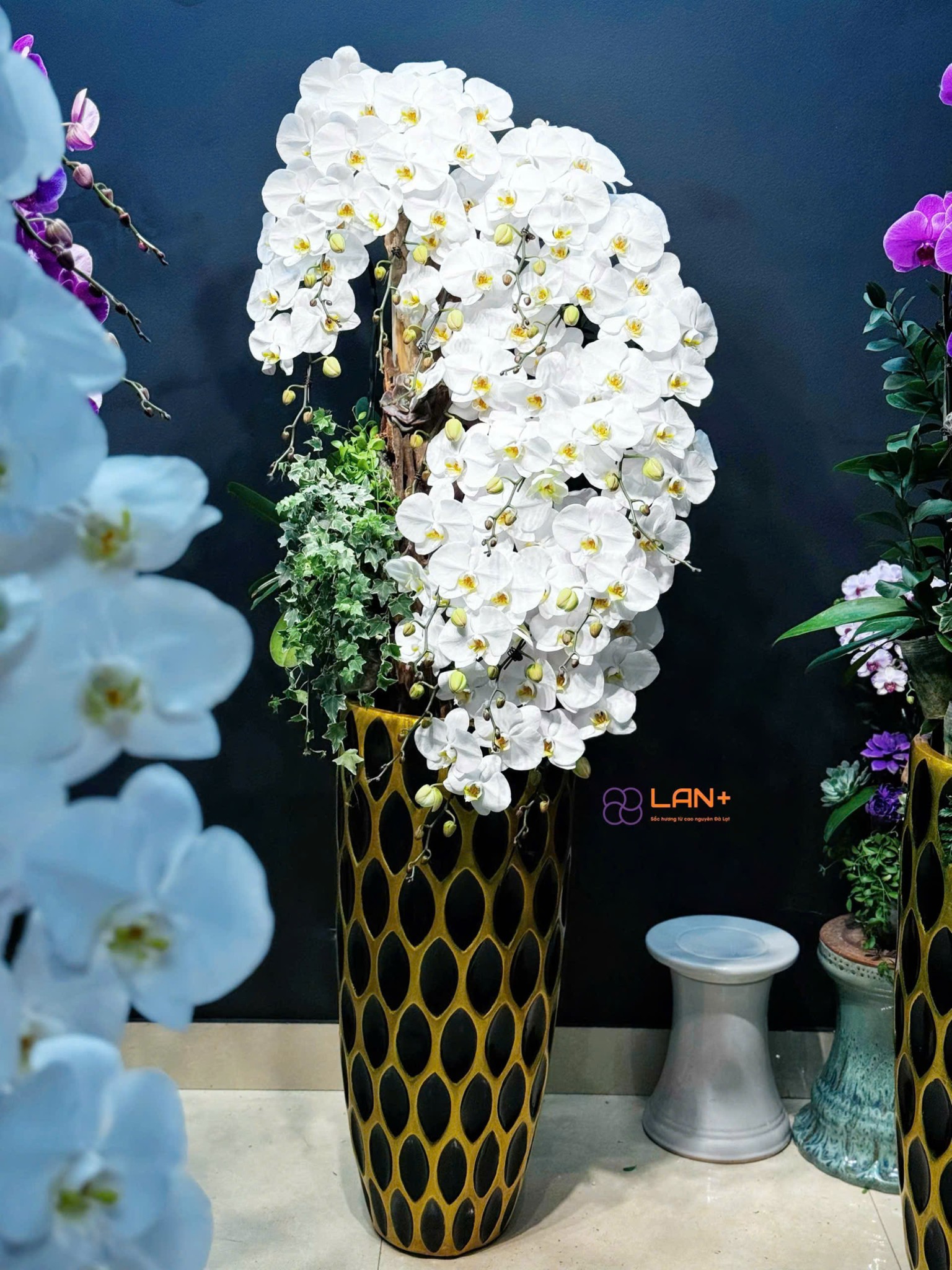 CHẬU TIỂU CẢNH SUỐI HOA 15 CÀNH