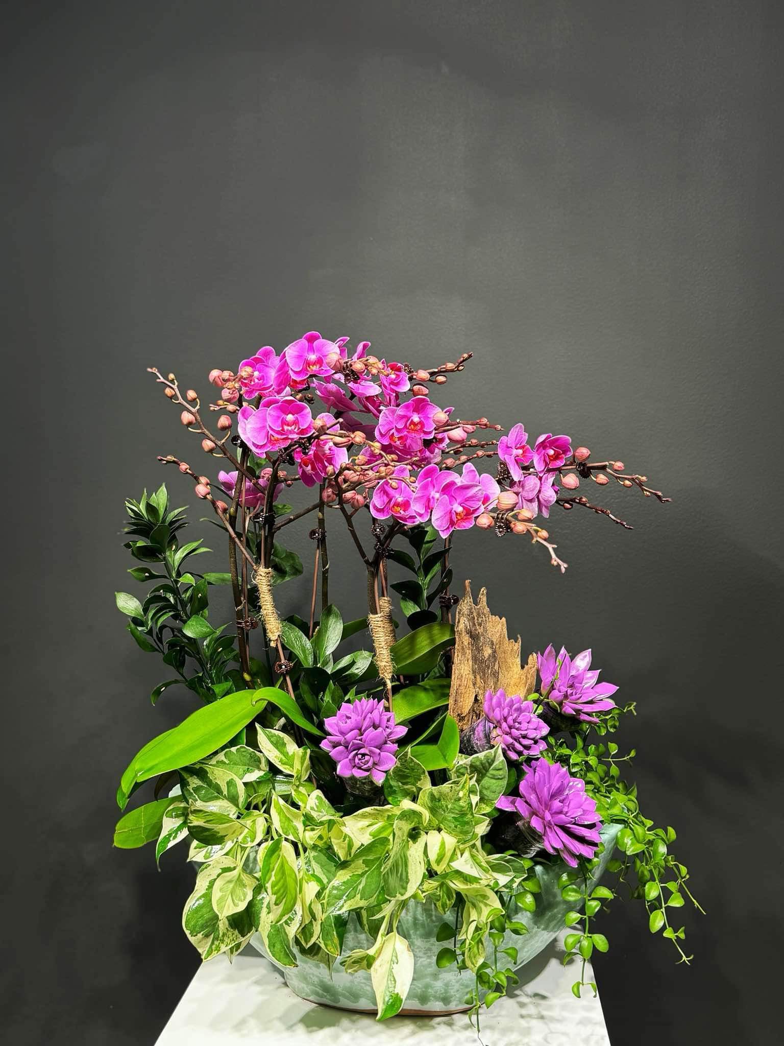 CHẬU THUYỀN TIỂU CẢNH 6 CÀNH LAN MINI