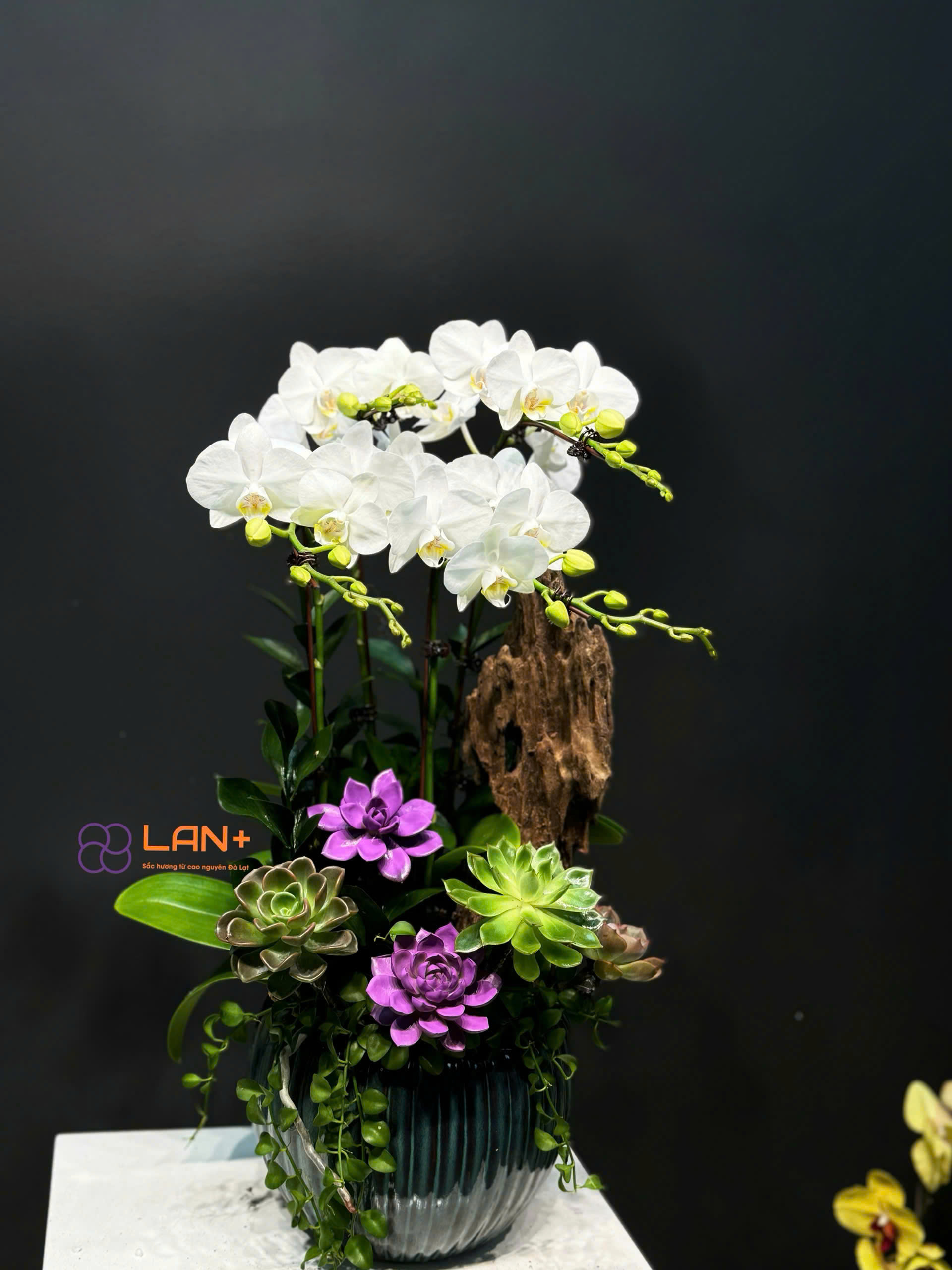 CHẬU TIỂU CẢNH 4 CÀNH TRẮNG MINI