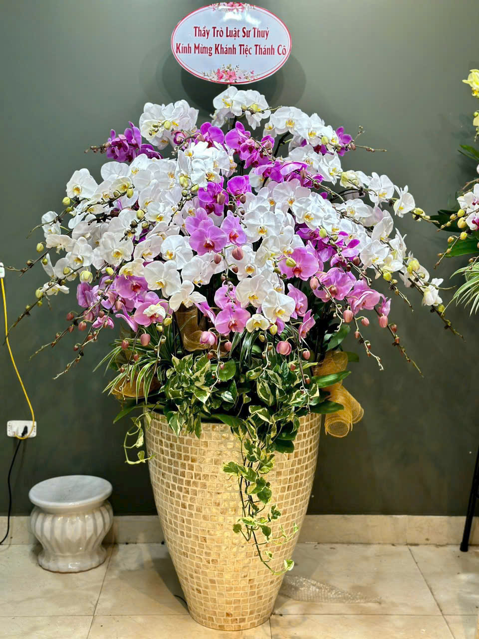 CHẬU 30 CÀNH MIX MÀU TRỒNG TRÊN CHẬU KHẢM TRAI