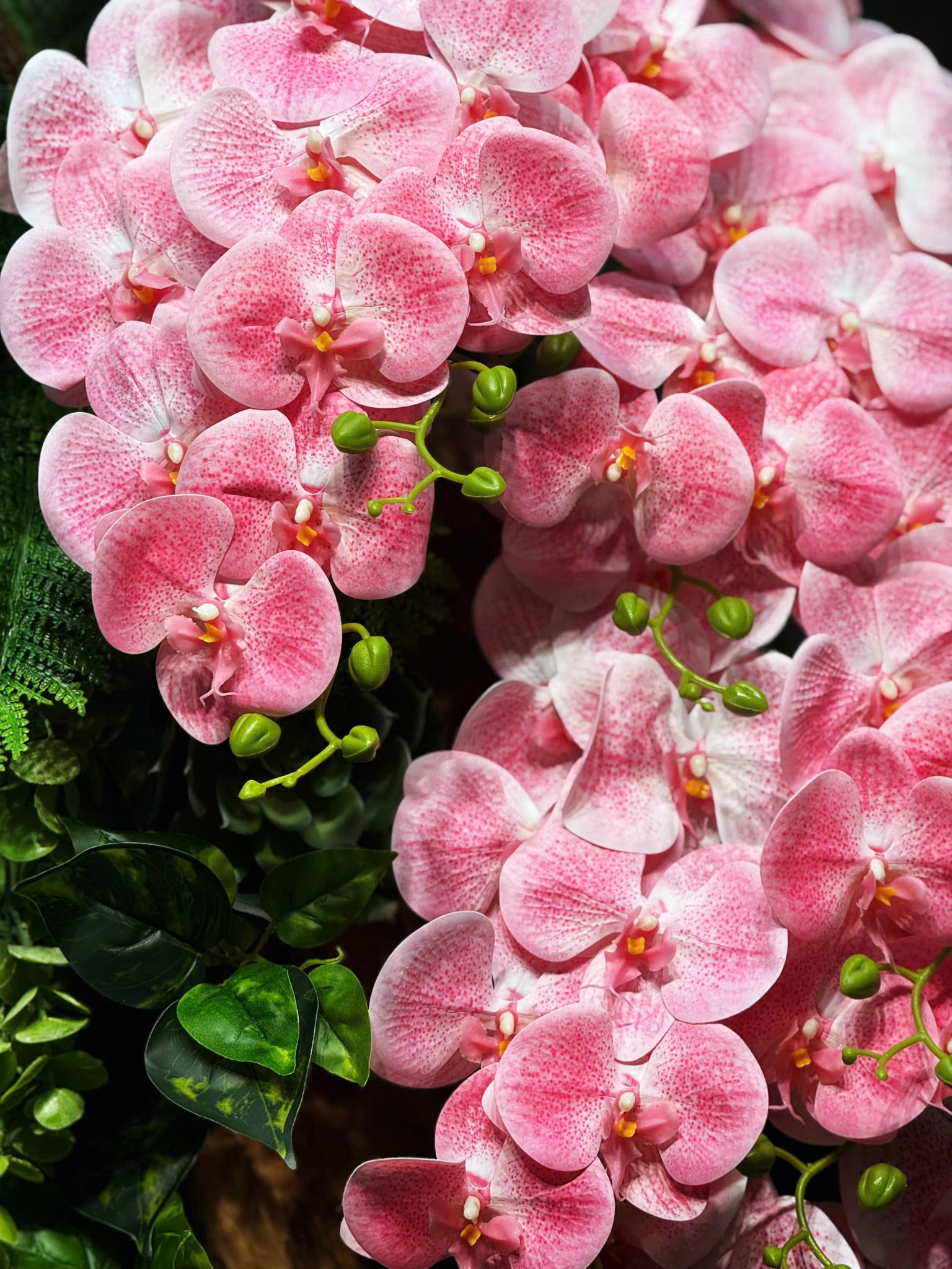 CHẬU TIỂU CẢNH 9 CÀNH LAN GIẢ