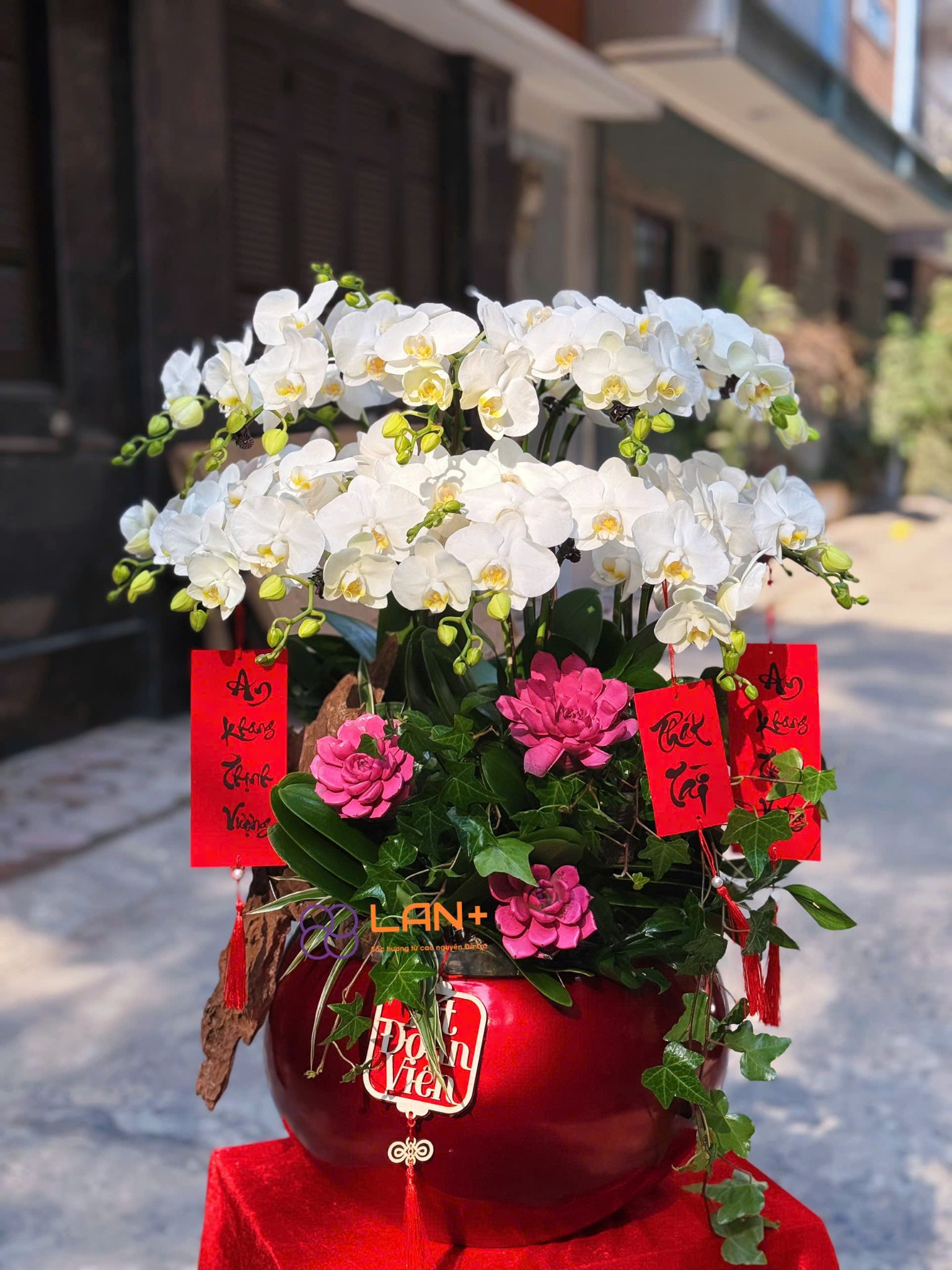 CHẬU 14 CÀNH TRẮNG MINI TRỒNG TRÊN CHẬU COMPOSITE