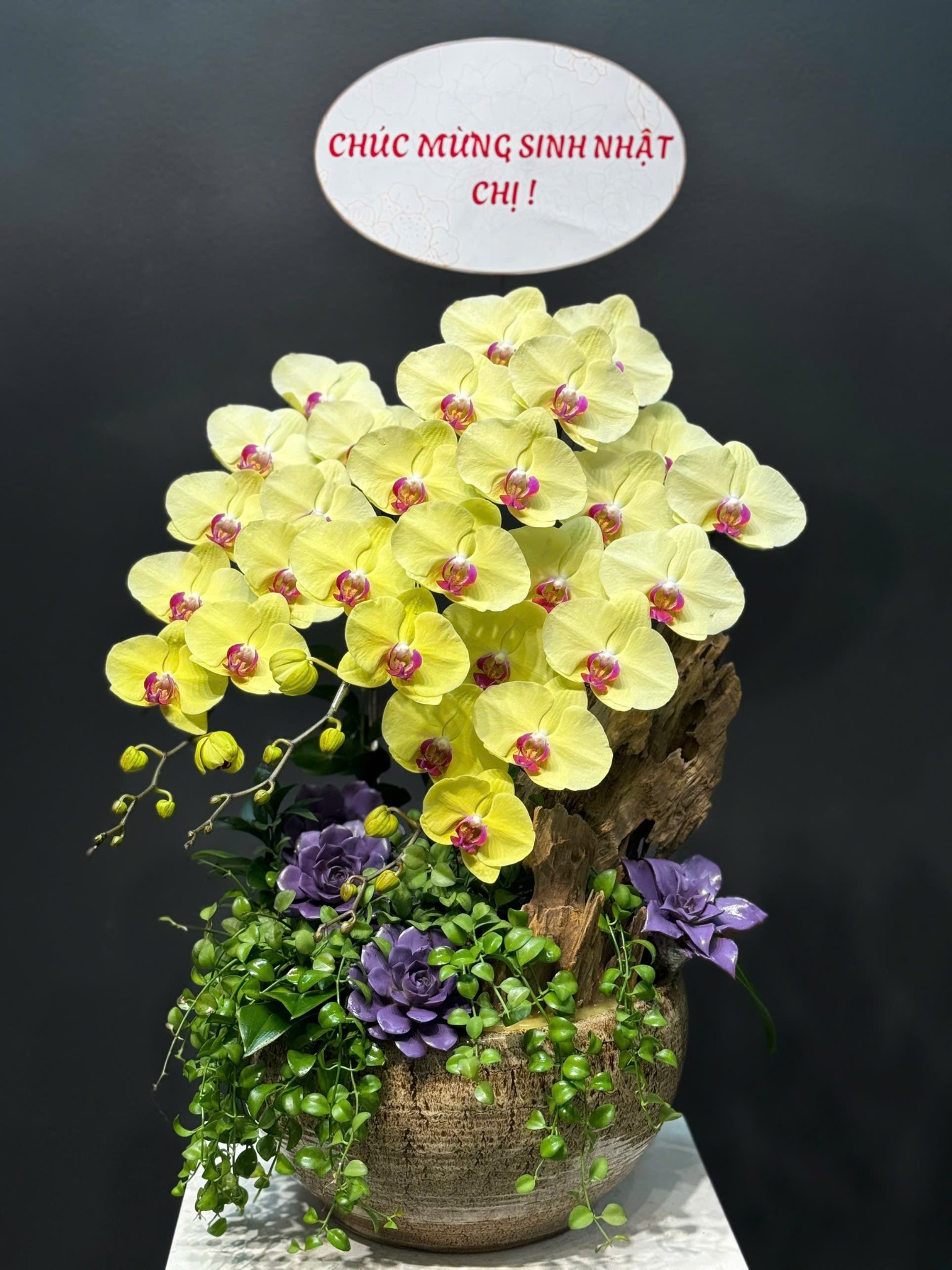 CHẬU TIỂU CẢNH 3 CÀNH LAN ĐẠI KẾT HỢP LŨA