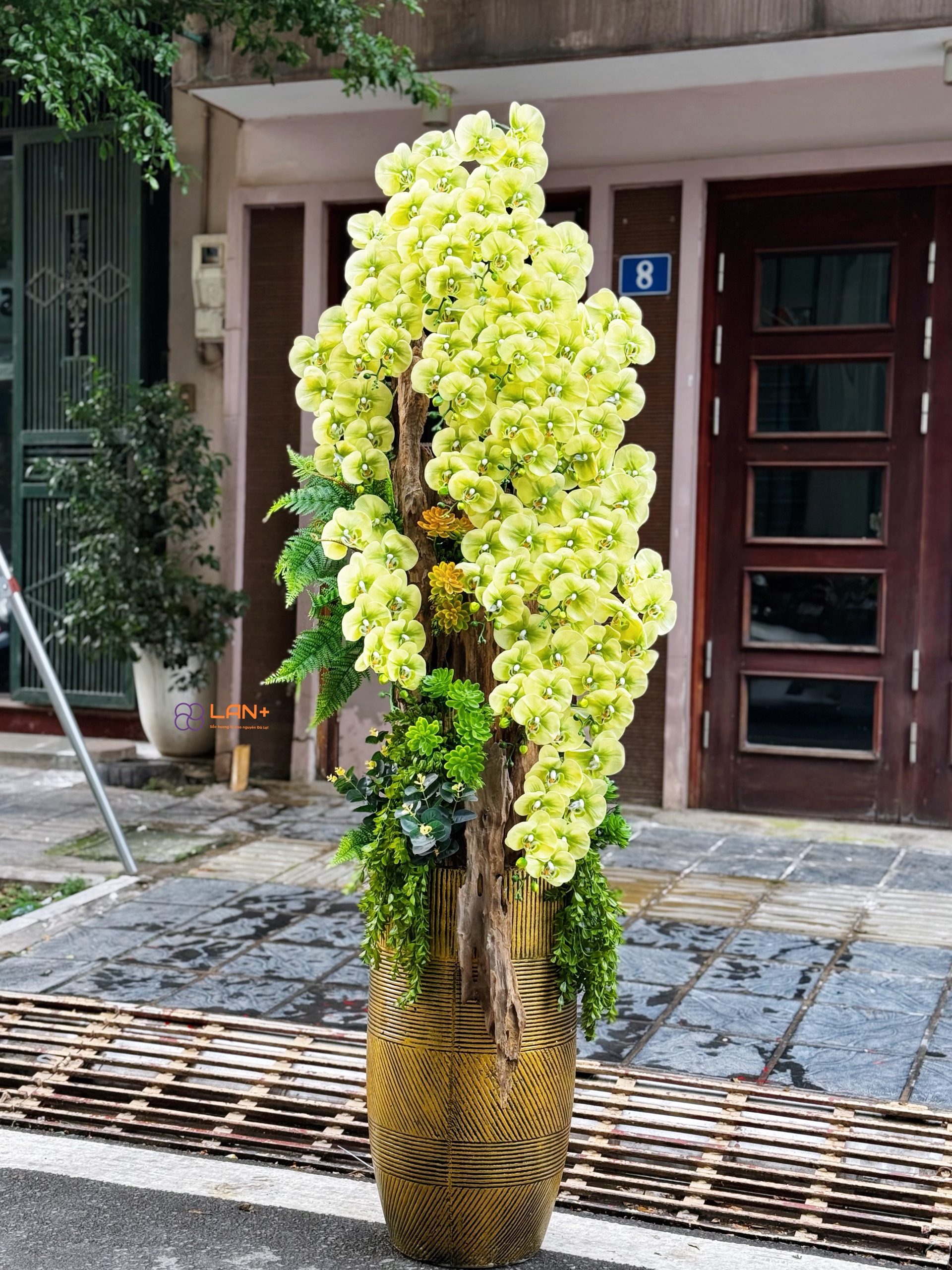 CHẬU TIỂU CẢNH 15 CÀNH LAN GIẢ