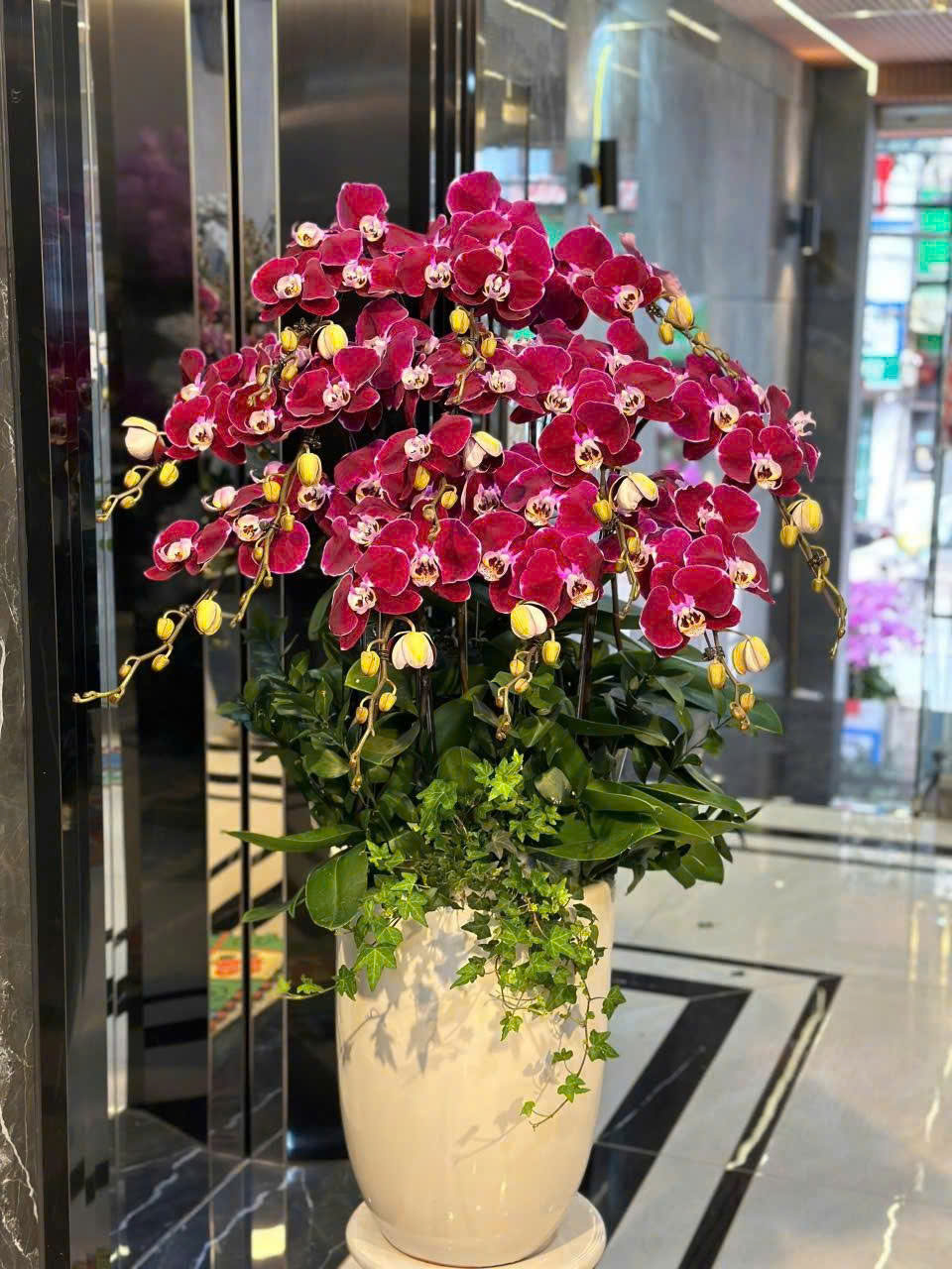 CHẬU 15 CÀNH ĐỎ