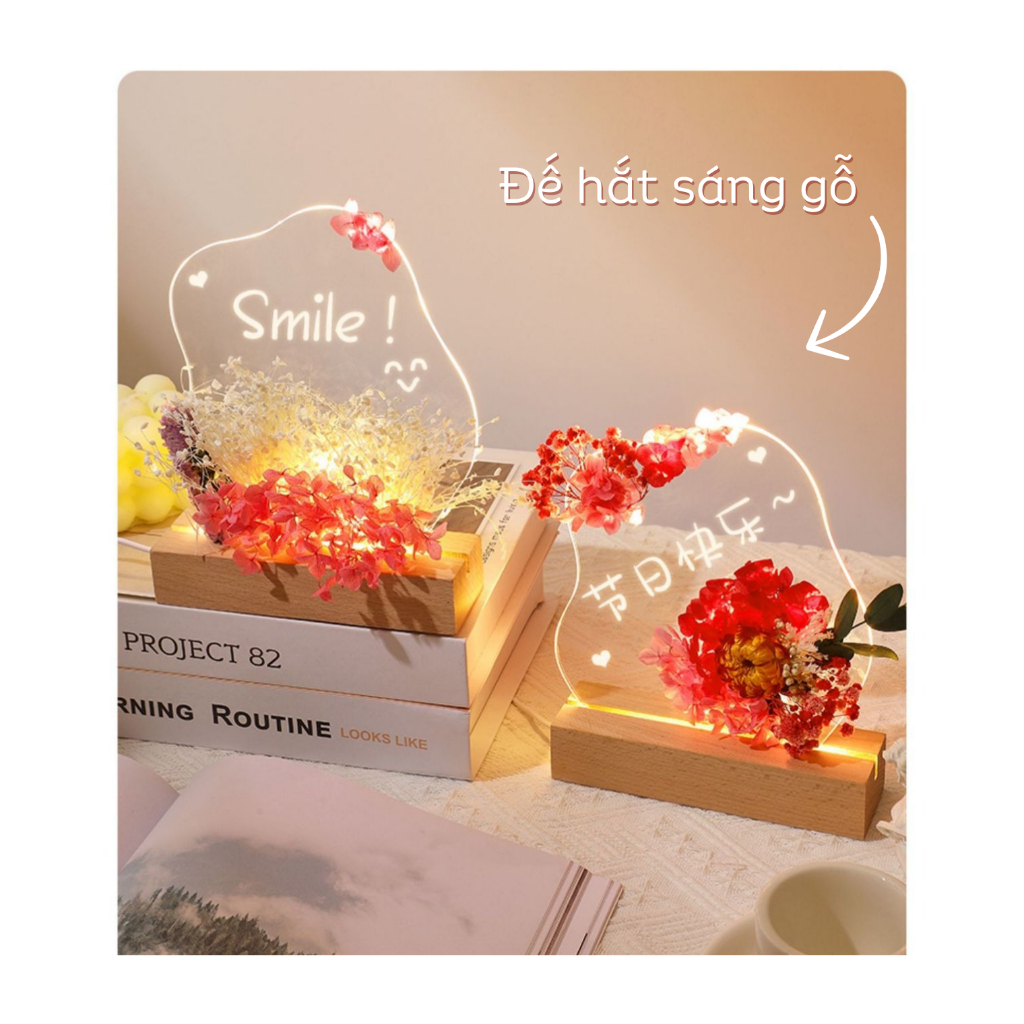 Quà tặng set đèn ngủ hoa khô vĩnh cửu tặng sinh nhật, tặng người yêu