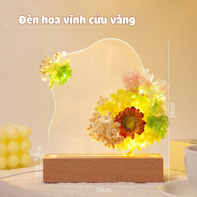 Quà tặng set đèn ngủ hoa khô vĩnh cửu tặng sinh nhật, tặng người yêu