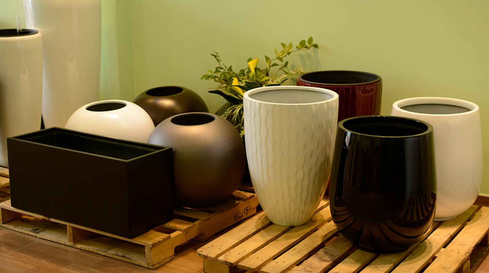 Địa chỉ mua chậu composite uy tín mà bạn cần bỏ túi ngay