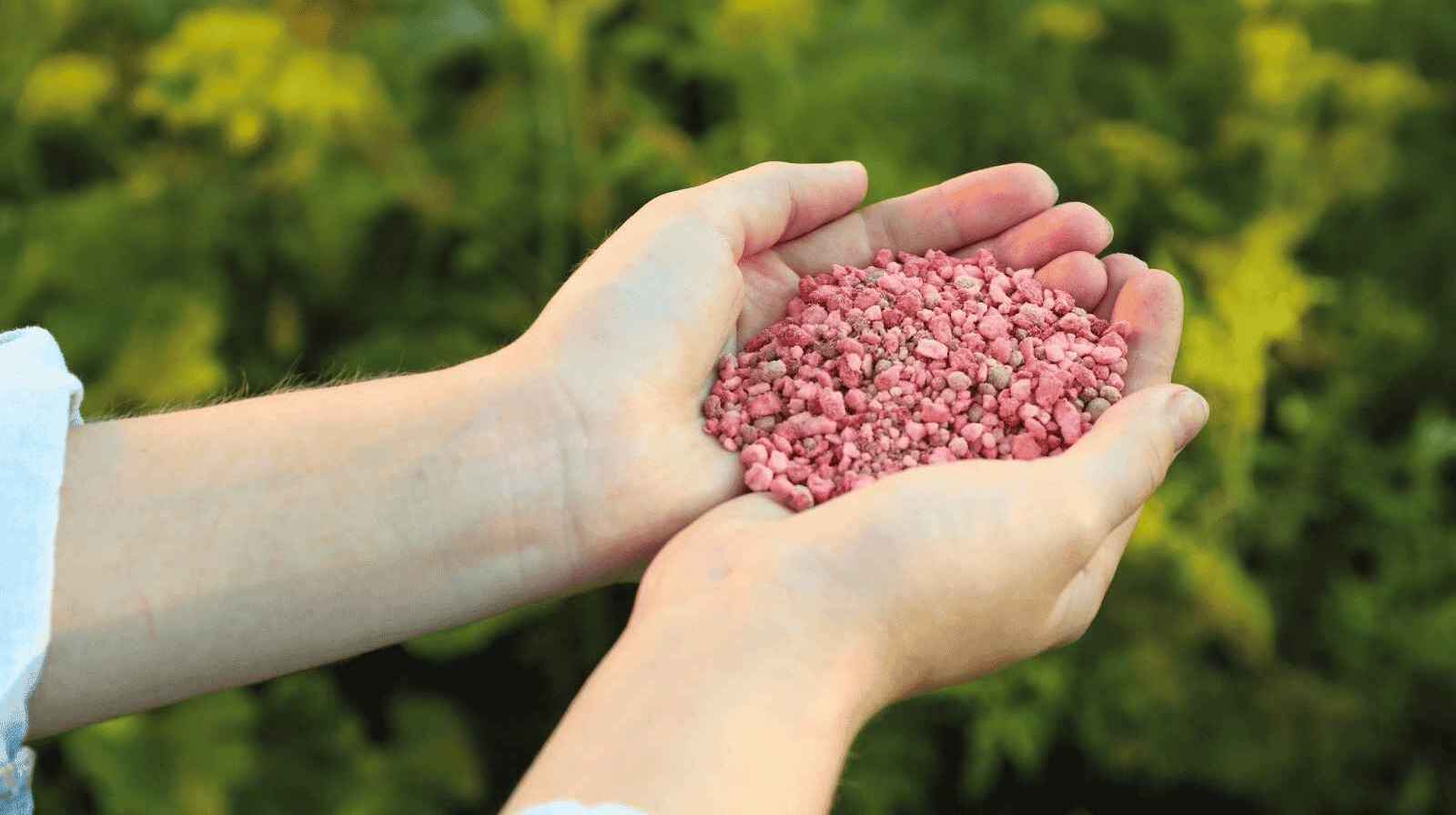 Phân bón kép – Chìa khóa vàng giúp mùa màng bội thu