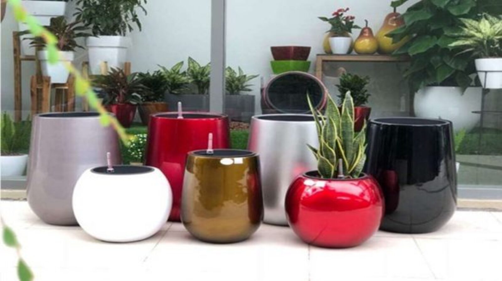 Chậu trồng cây tự tưới - Giải pháp hoàn hảo cho người bận rộn