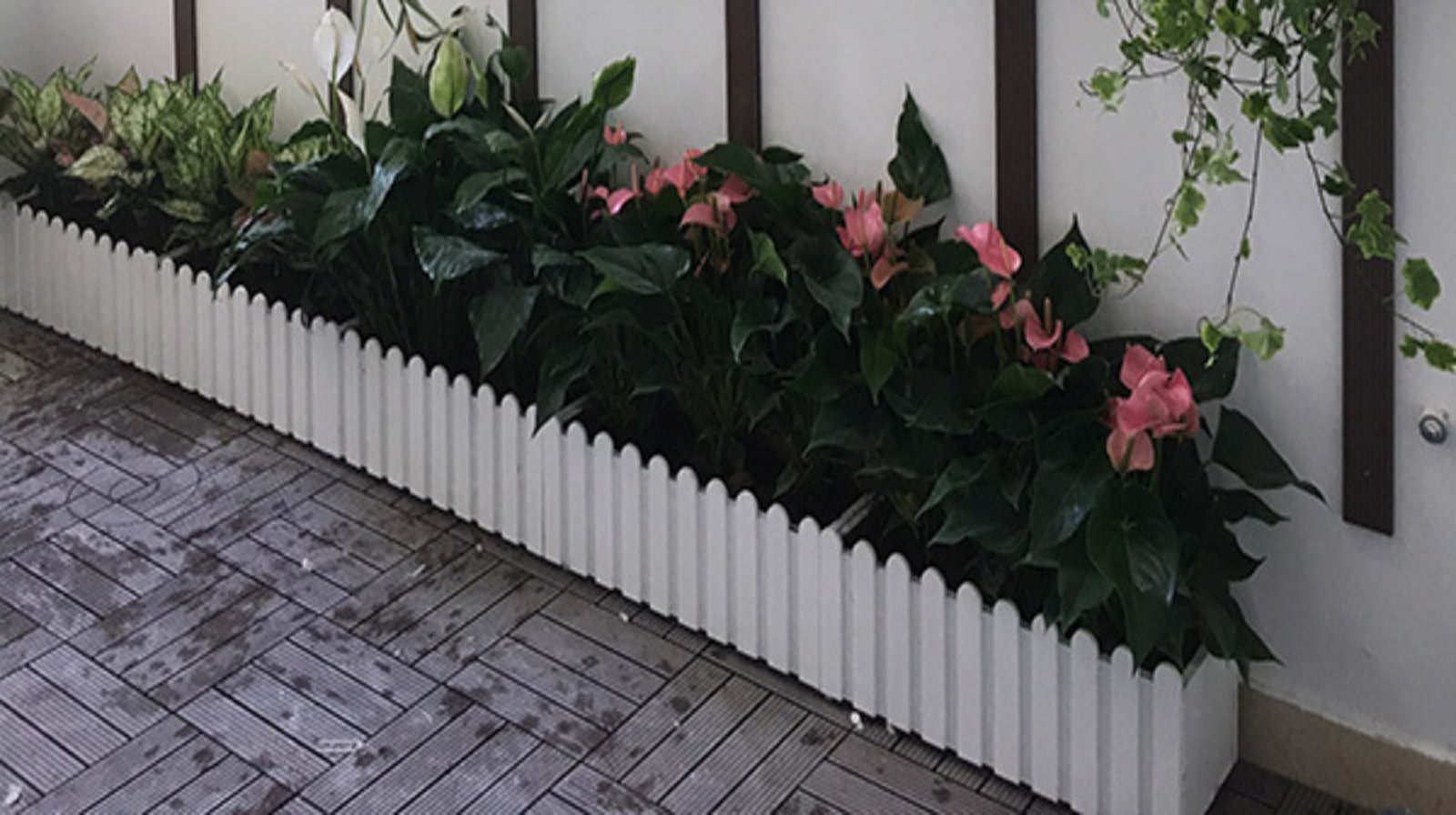 Chậu hàng rào composite – Giải pháp sân vườn hoàn hảo