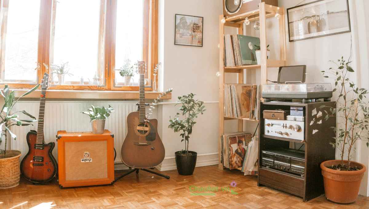 Vì sao chậu cây composite ngày càng được ưa chuộng dịp Tết
