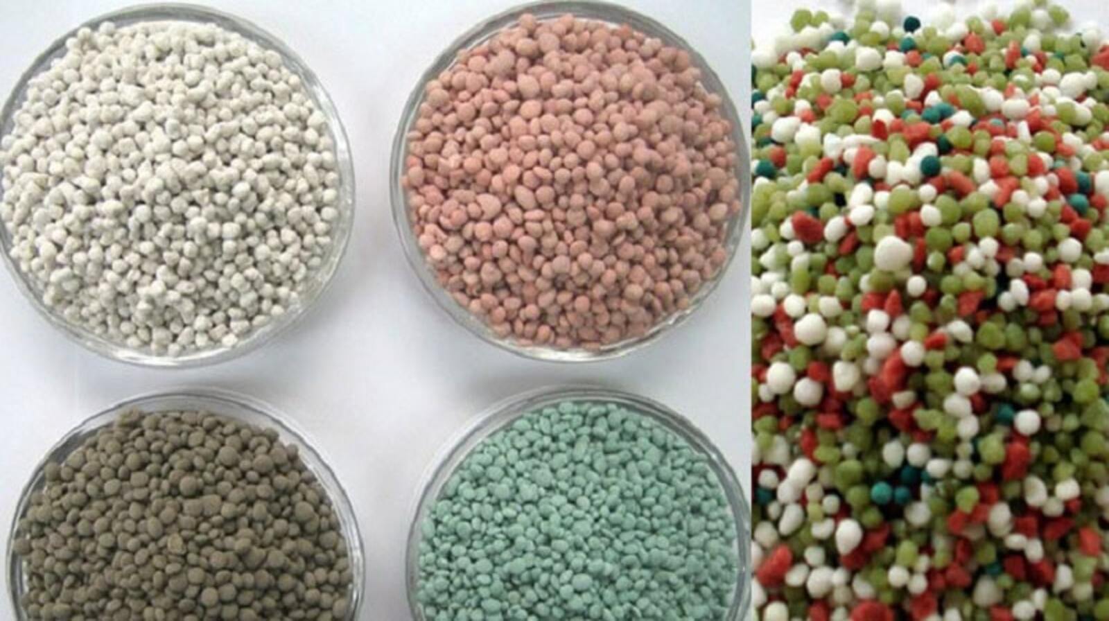 Cách bón phân NPK hiệu quả để cây xanh tốt quanh năm