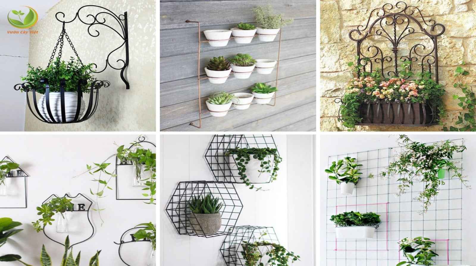 Chậu cảnh treo tường, cách tiện lợi cho không gian nhỏ hẹp