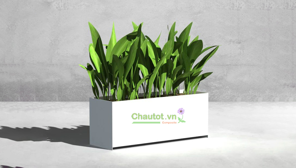 Mẫu chậu cây composite để sảnh công ty, showroom dịp Tết 2026