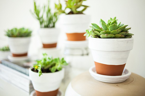 Đảm bảo tính bền vững của họa tiết