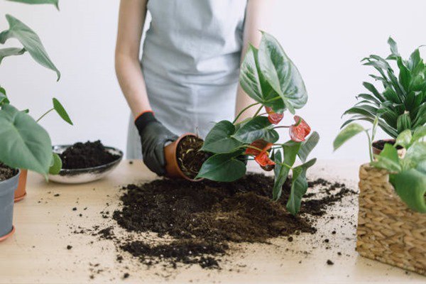 Kiểm tra và sửa chữa các vết nứt nhỏ