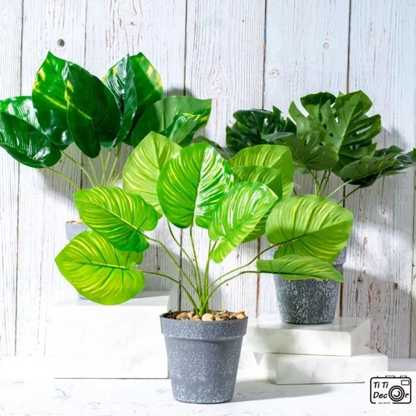 Lợi ích của việc trang trí chậu cây decor