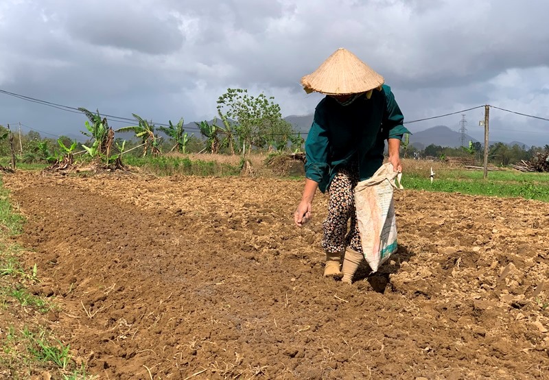 Bón lót là gì? Bí quyết giúp cây trồng phát triển bền vững