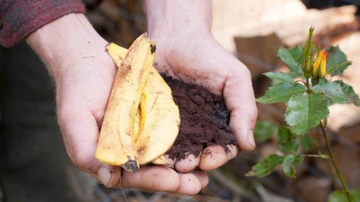 Sử dụng các chất tự nhiên