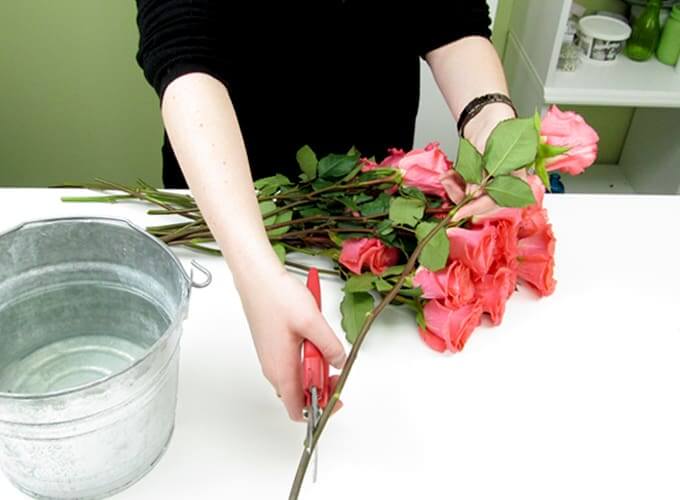 Những sai lầm thường gặp khi bảo quản hoa