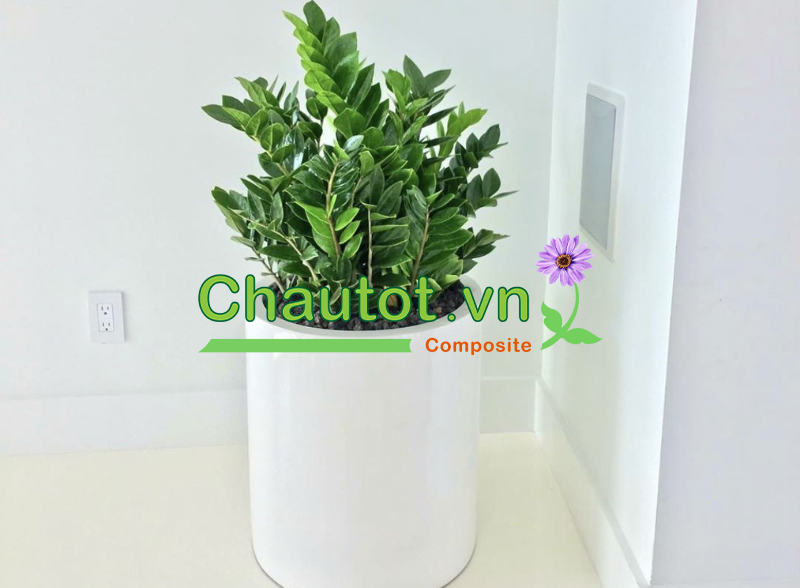 Lý do bạn nên chọn chậu composite của Chậu Tốt?