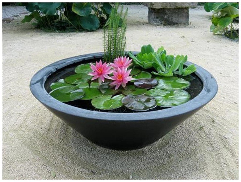 Lợi ích của việc sử dụng chậu composite