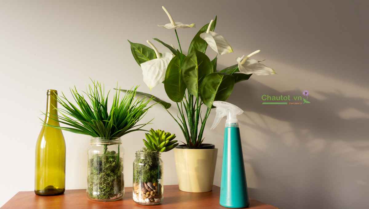 Giới thiệu về chậu cây composite