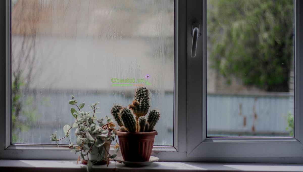 Chậu composite treo hoặc đặt ban công
