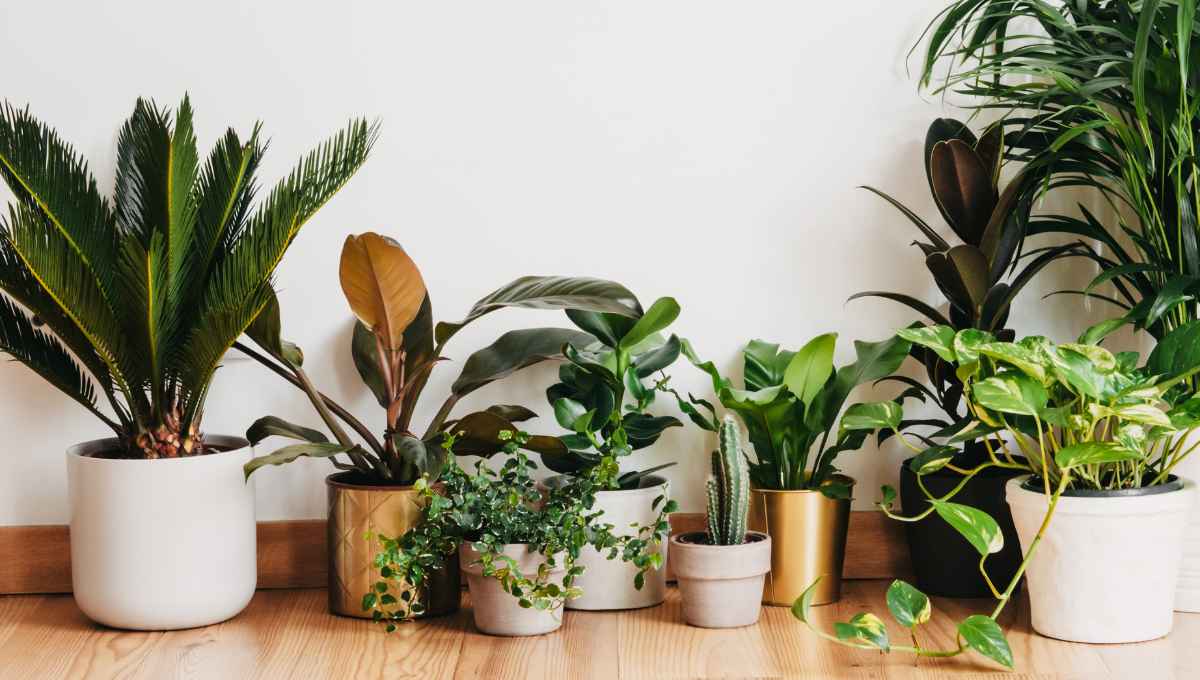 Cách bố trí chậu composite giúp không gian rộng thoáng