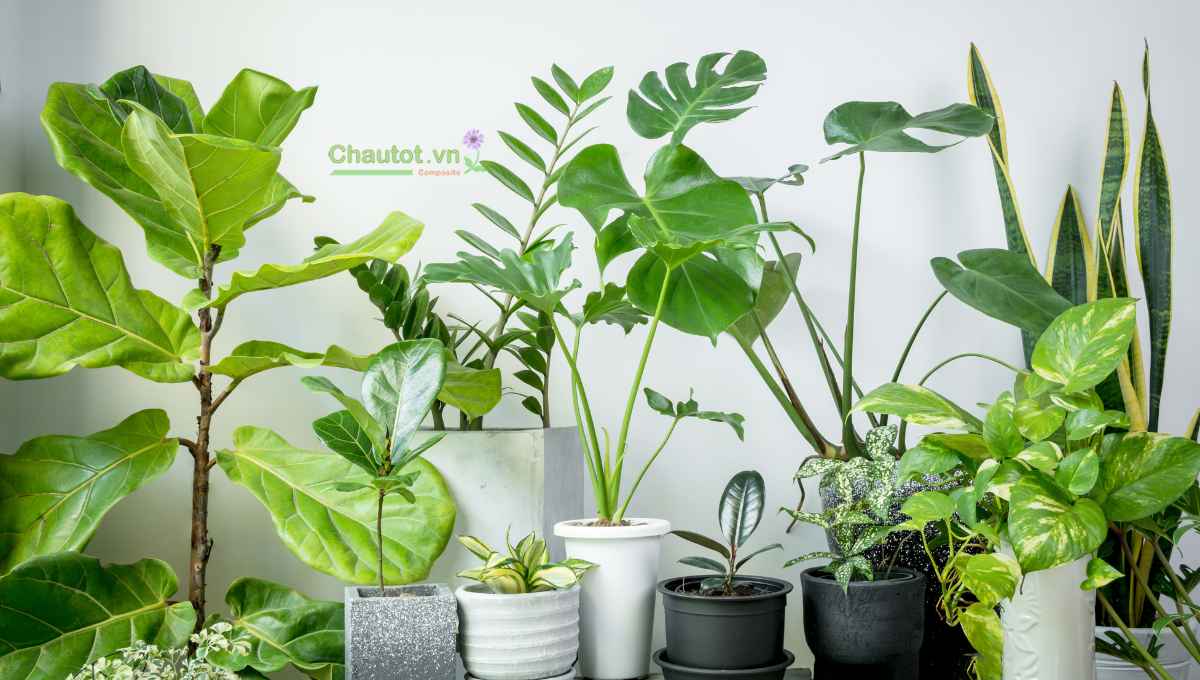Thiết kế và phong cách phù hợp không gian