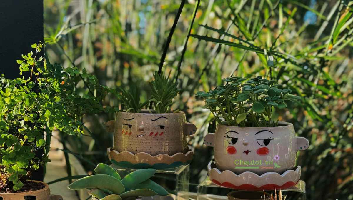 Cách xử lý nếu chậu đã bắt đầu nứt